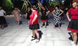 广场舞蹈视频大全,舞动人生，欢乐无限